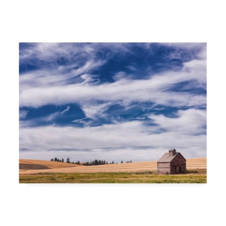 Phburchett 'Farm And Field I' Canvas Art,35x47